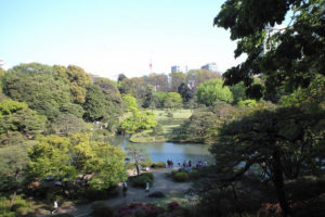 都内とは思えない緑とその広さ。