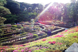 庭は西洋風。よく刈り込まれている。