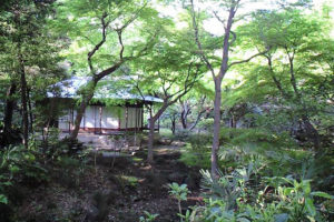 茶室がある。表千家の茶稽古が開かれているんだとか。