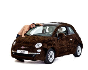 "500 Teddy Bear"。毛深い。（笑）