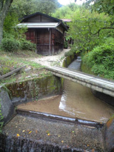 空気が森の清々しい香気をはらんでいた。