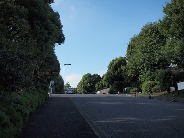 北の丸公園。これは武道館のある九段の反対側。