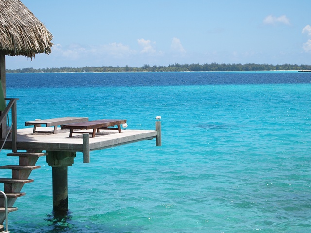 毎日こんな景色を眺めて…。