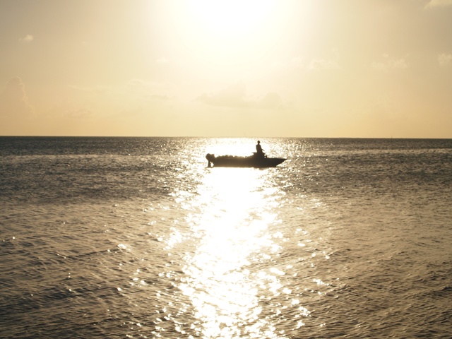 夕日も見て…。