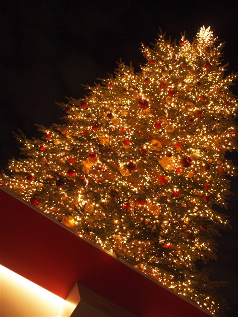 その道の上にあるツリー。ちなみに木は本物。