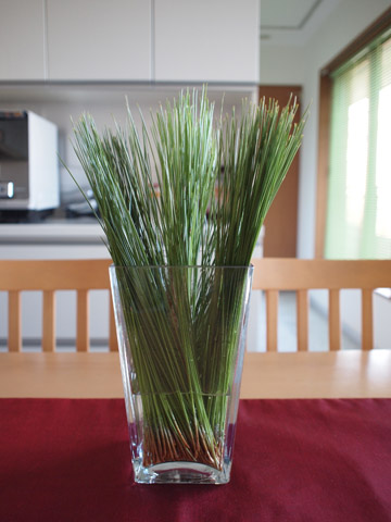 ダイニングテーブル。新春ぽい気分を簡単に、しかもモダンに演出できてお勧め。