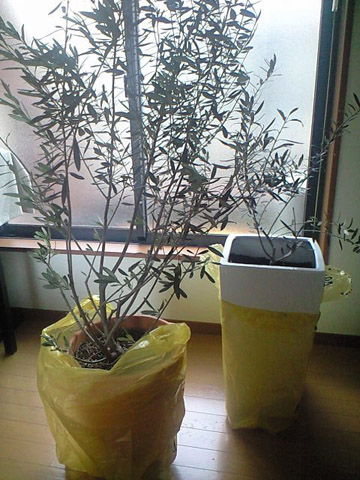 退避した織部さん（右）とリブ夫さん（左）。