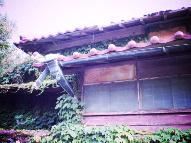 自然に徐々に飲みこまれようとしている廃屋。トイカメラ風に。