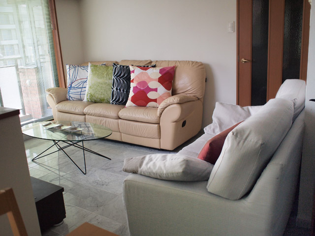 今回はクッションを新調。普段は寝室にあるソファーをリビングに持ってきた。（右のグレーのやつ）