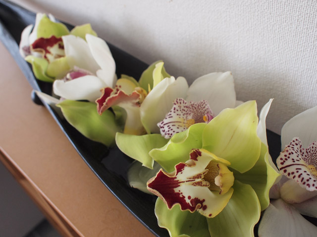 キッチン横の棚上にも。