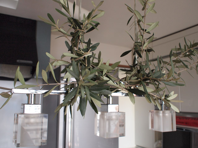 剪定したオリーブの枝を使ってダイニングのペンダントライトに飾り付け。