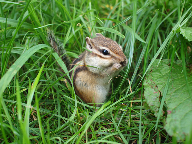 食事中に失礼。