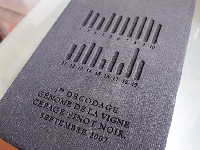 裏にはピノ・ノワールの遺伝子コードが。