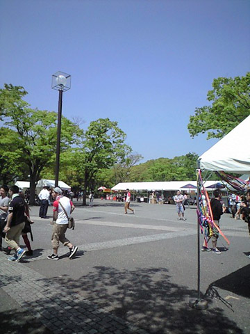 会場に10時半前に着いたら、なんとものどか。