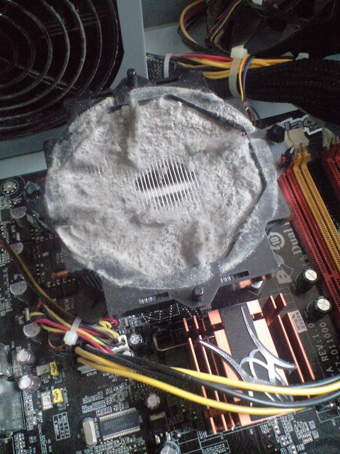 ぎゃー、何じゃこれは！