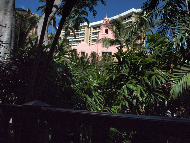 席からの眺め。