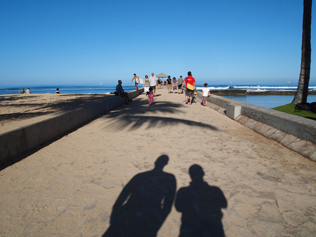 朝からくっきり濃い影の出る日差し。でも爽やか。