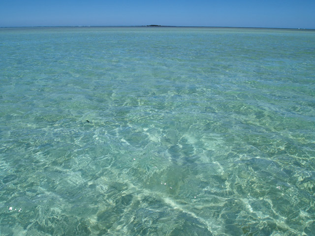 沖合にはこんな海が待っていた。