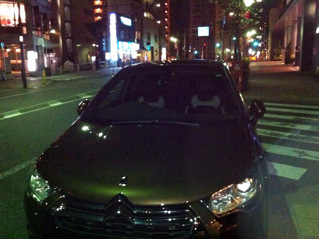 Okuho撮影。水銀灯の下だと緑っぽい。