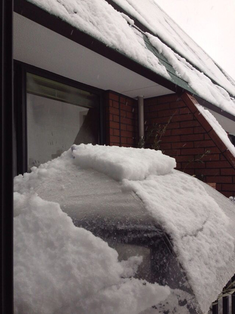 手前が織部さんにさした傘。うちは最上階なので、上は屋根。時々「ズザッ！」と雪が滑り落ちてくる。