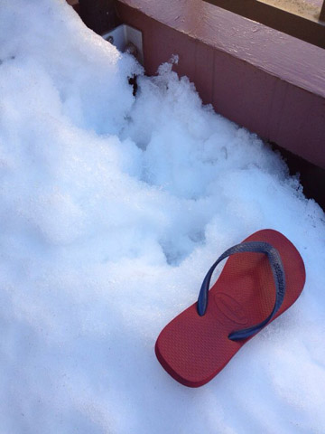 焼け石に水というかなんというか。大きさ比較のために手近にあったビーサンを置いて撮影。