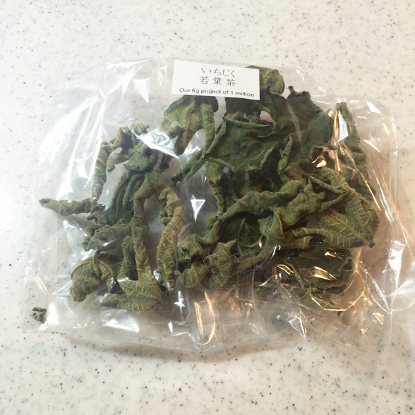 いちじくの若葉茶。