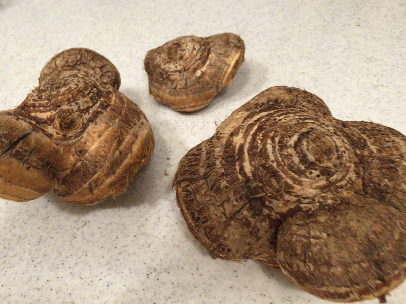 上等な八ツ頭。