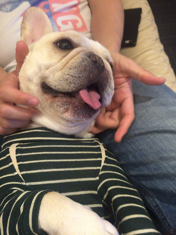 じょにおにいじられてご満悦。