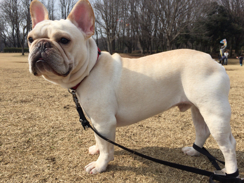 こうして見ると大人の風格？