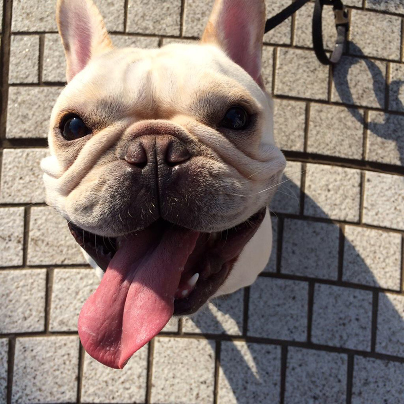 張り切りすぎの顔。