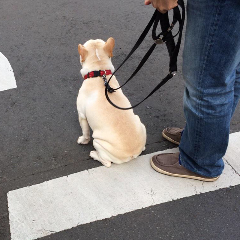 ちゃんとやれる時はやれる。