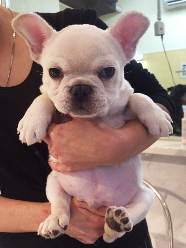 生まれて3ヶ月、まだお腹はプニプニ。