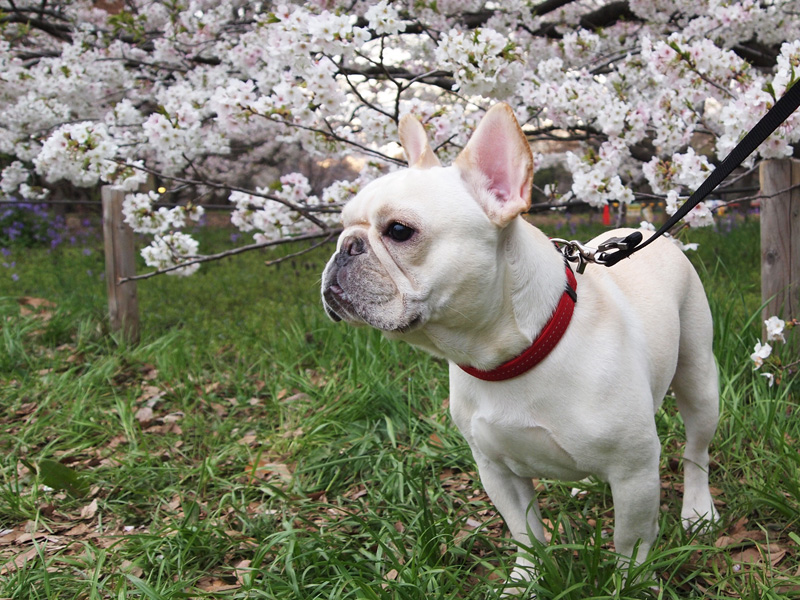 因みに去年のショット。