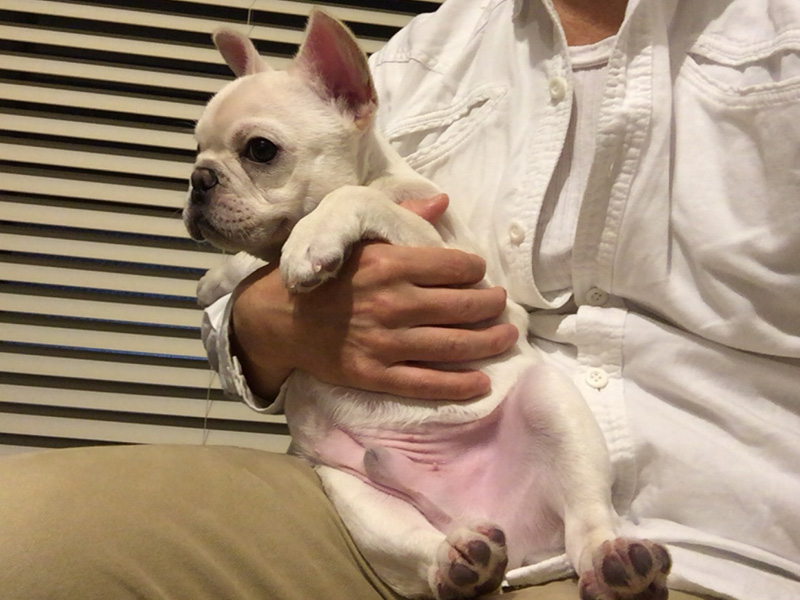 ノアノアはまだ片手で楽々の大きさ。