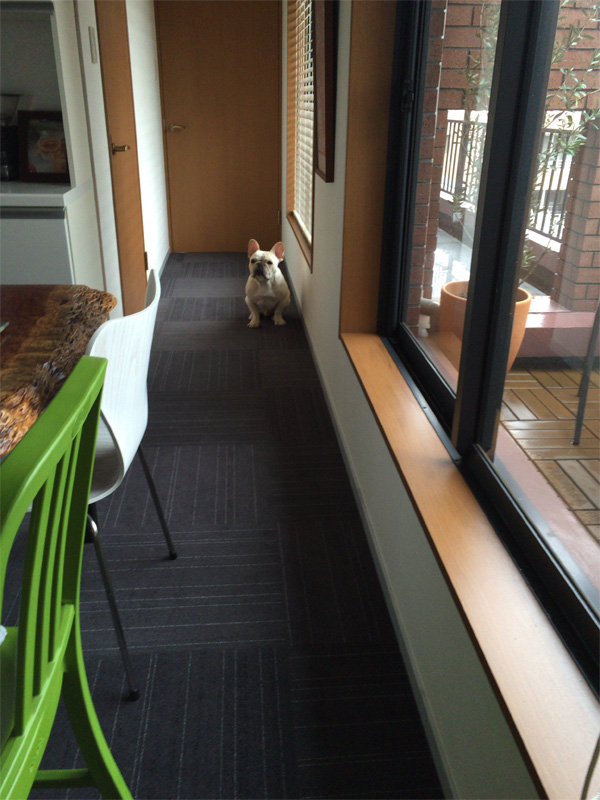 騒ぐノアノアを避けて廊下に退避するプットニョス。