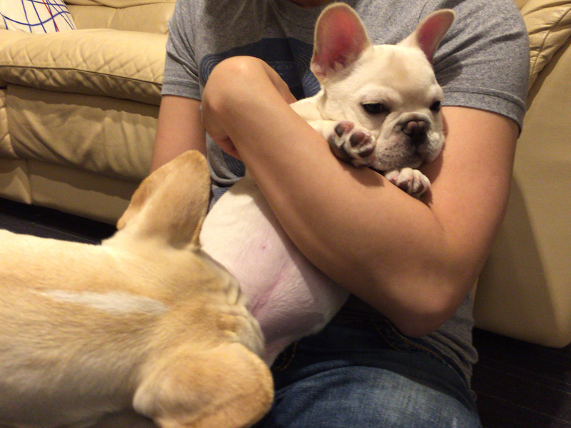 じょにおにタッチングされるノアノアと、それを覗きこむプットニョス。