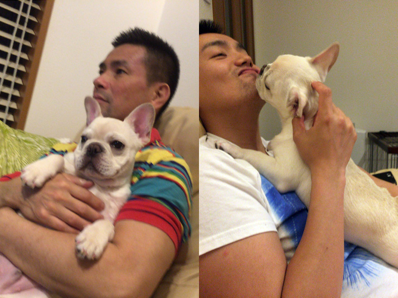 しつけのために基本放っておいてはあるが、朝と夜には触れ合う。