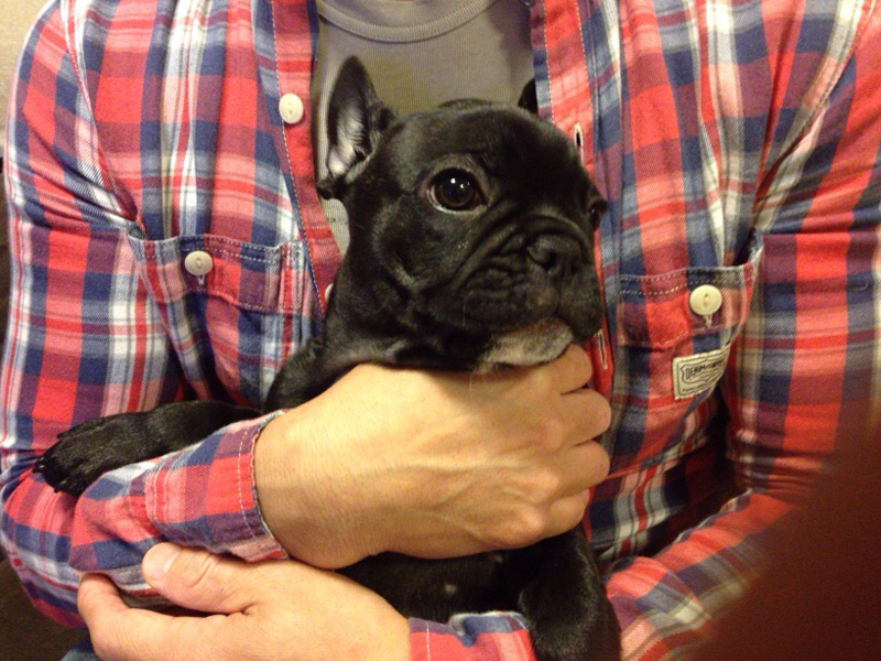 1年少し前、初めて会ったジンベエを抱かせてもらった。