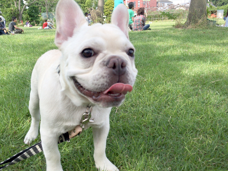 楽しい！（ちょっと暑い）