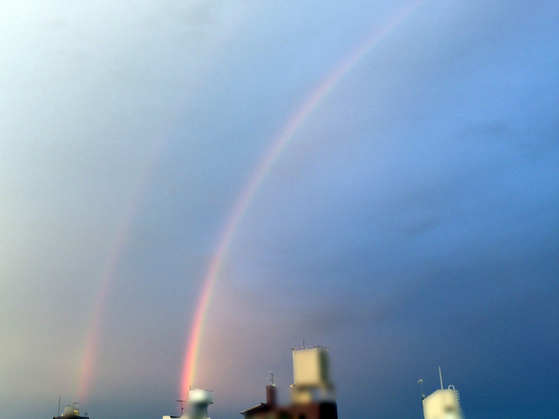 先週末の虹。