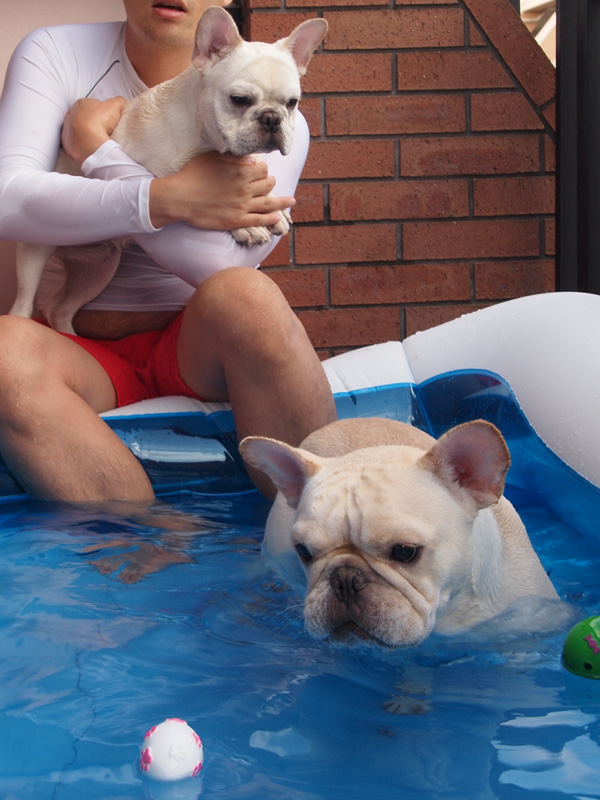 ノアノアはじょにおに抱かれてプットニョスがおもちゃを追う様子を見る。