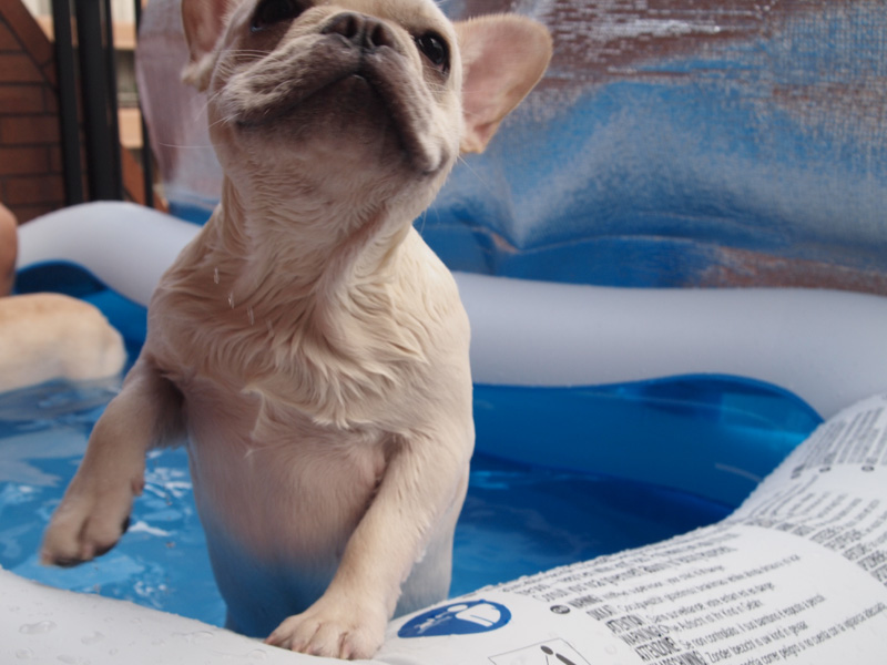 動き始めたノアノア。