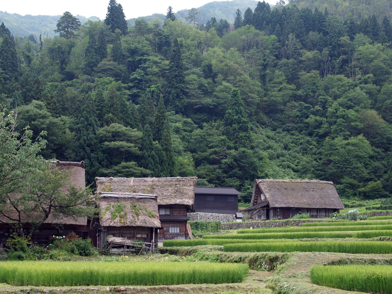昔話のような光景。