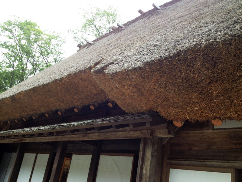 茅葺き屋根は実に手間がかけられていることが分かる。丹念に切り揃えられたこの精緻。