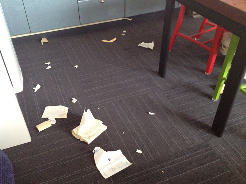 本をビリビリに。画像を良く観ると、右端にそれを見るプットニョスが…。