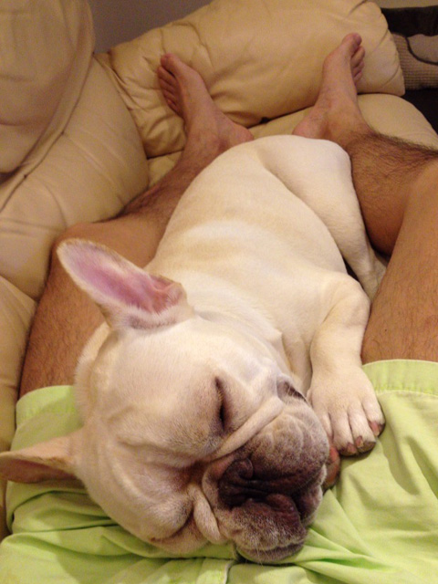 お股枕で一眠り。