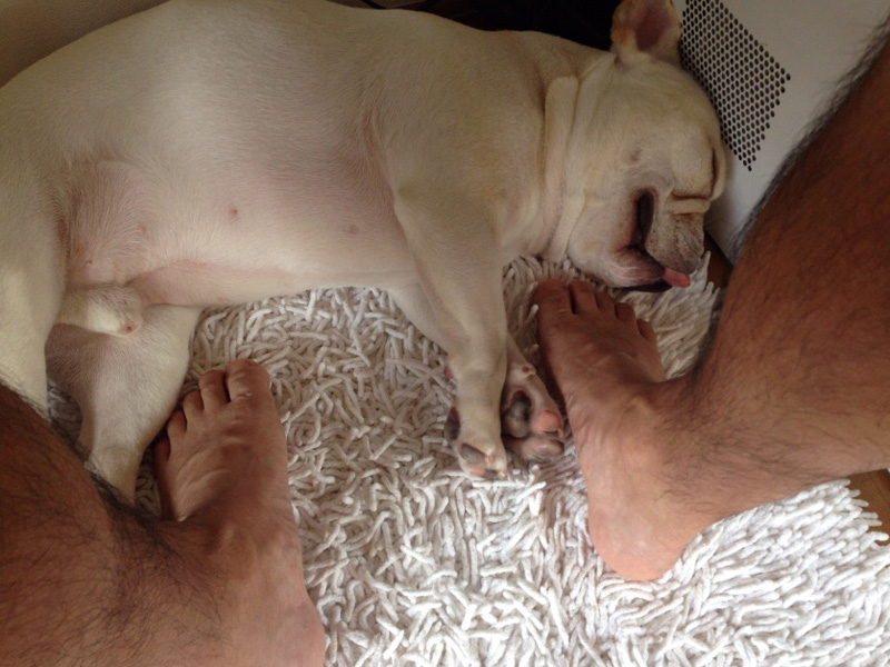 書斎の机の下で。