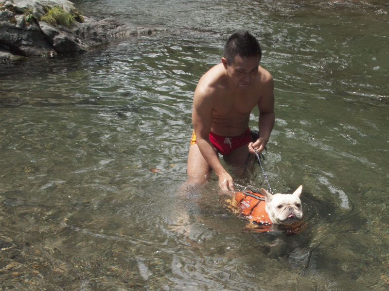 夏休み、と書いて思い出した。ついぞ載せる機会を逸したのでついでに掲載。じょにおが休みの日に2回目の川遊びに出かけて、プットニョスが泳ぐところ。