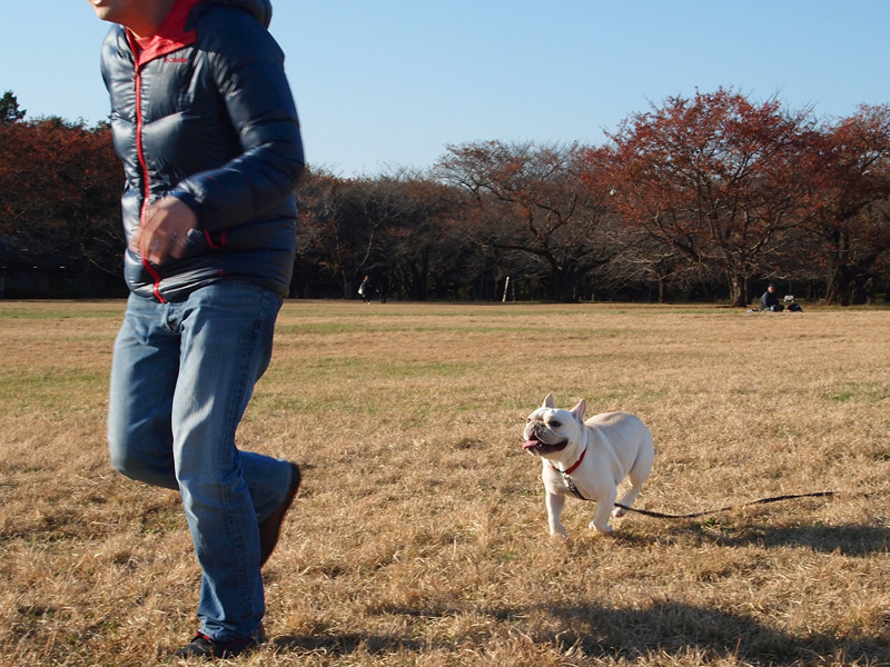 じょにおとも走る。待て~!