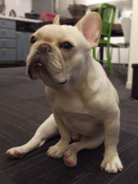 貫禄が出てきた？（笑）